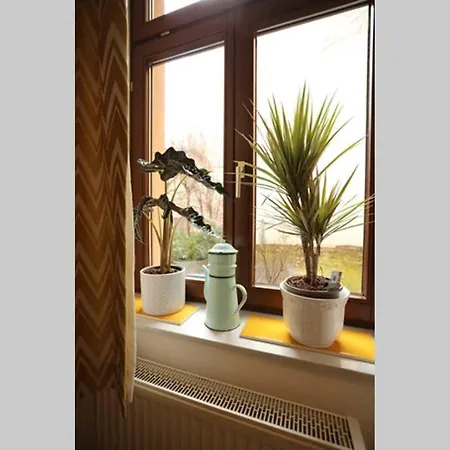 Enjoy Gӧrlitz - Parkplatz