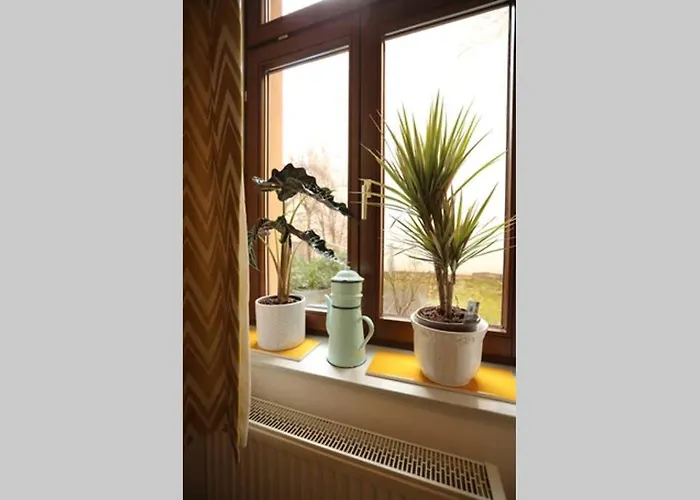 Enjoy Gӧrlitz - Parkplatz